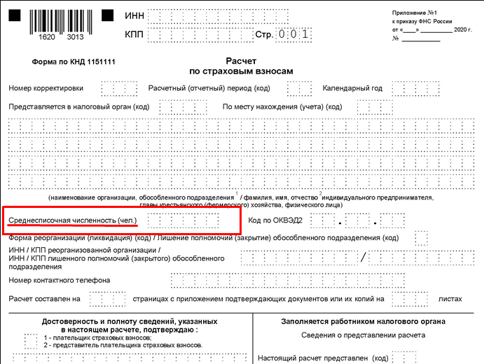 Новая форма рсв с 2023 года образец