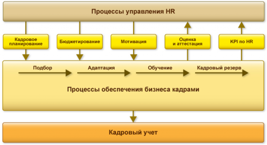 1с управление бизнес процессами. Процессы кадрового учета. Системы кадрового учета на предприятии. 1с управление персоналом. Схема процесса кадрового учета.